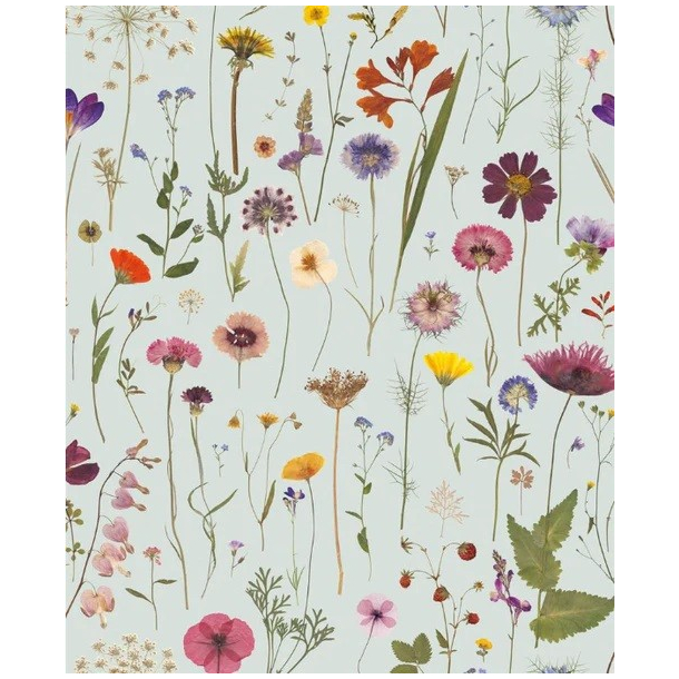 Museums &amp; Galleries dobbeltkort, Wild Press, Mint Bloom