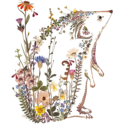 Museums &amp; Galleries Wild Press Hedgerows by Helen Ahpornsiri Wild Press kortmappe med 8 dobbeltkort inkl. kuvert