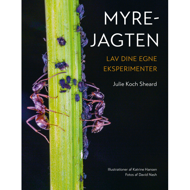 Myrejagten 
