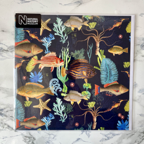 Natural History Museum, Anledningskort, An array of marine life, 1 stk.