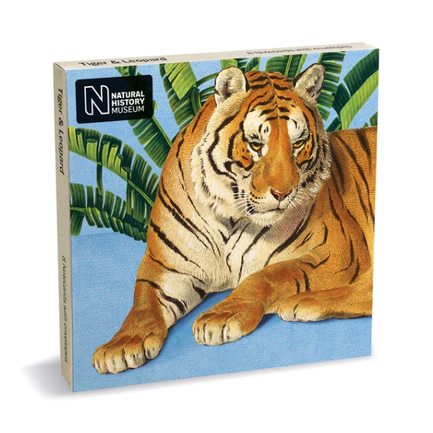 Natural History Museum Tiger &amp; Leopard kortmappe med 8 dobbeltkort inkl. kuvert