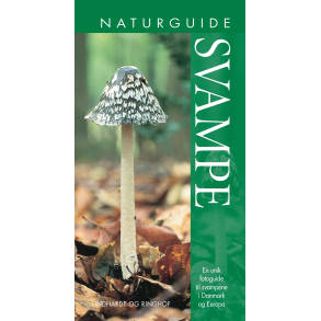 Naturguide Svampe