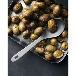 Nicolas Vahe, Serveringsske