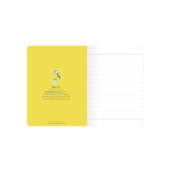 Notesbog, Blmejse, A6