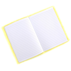 Notesbog med plys, Ananas summer