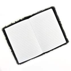 Notesbog med plys, Rumraket