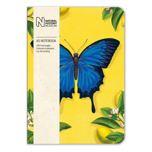 Notesbog, Natural History Museum, Ulysses Butterfly, A5