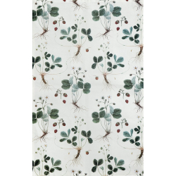 kologisk viskestykke - Jordbr