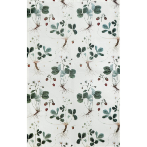 kologisk viskestykke - Jordbr