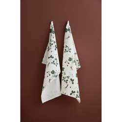 kologisk viskestykke - Jordbr