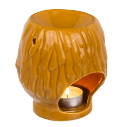 Oliebrnder, ansigt, karry