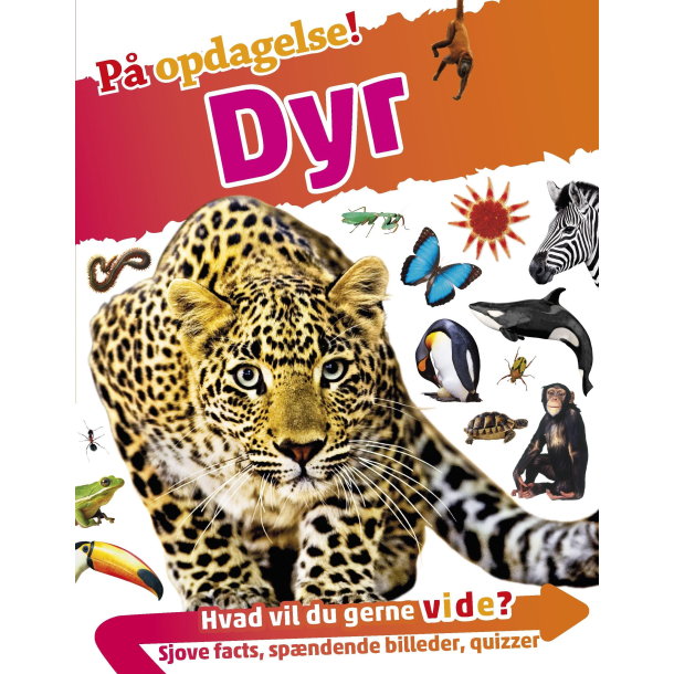P opdagelse! - Dyr