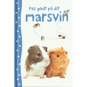 Pas godt p dit marsvin