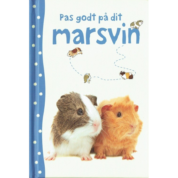 Pas godt p dit marsvin