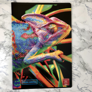 Pigna Animal kladdehfte, linieret, A4, Kamleon