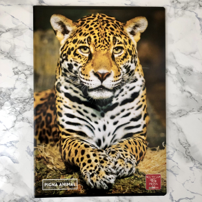 Pigna Animal kladdehfte, linieret, A4, Leopard