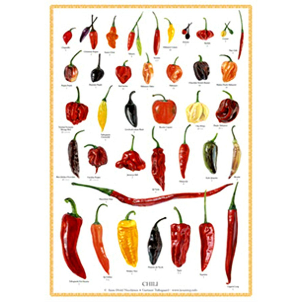 Plakat "CHILI"