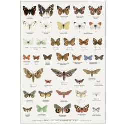 Plakat  "DAG- OG NATSOMMERFUGLE"