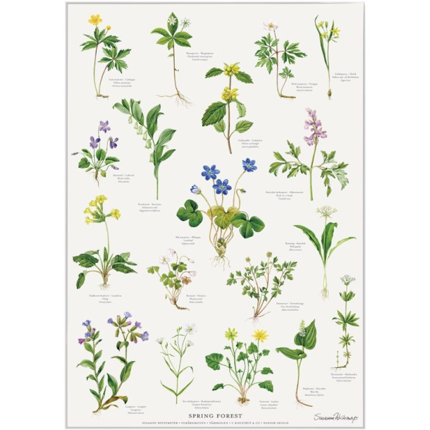 Plakat "FORRSSKOVEN"