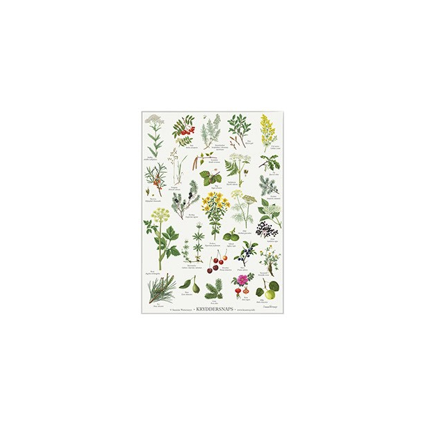 Plakat "KRYDDERSNAPS"