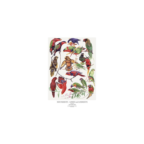 Plakat "RDE PAPEGJER"