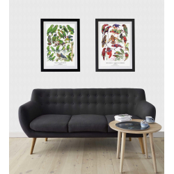 Plakat "RDE PAPEGJER"