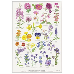 Plakat "SPISELIGE BLOMSTER"