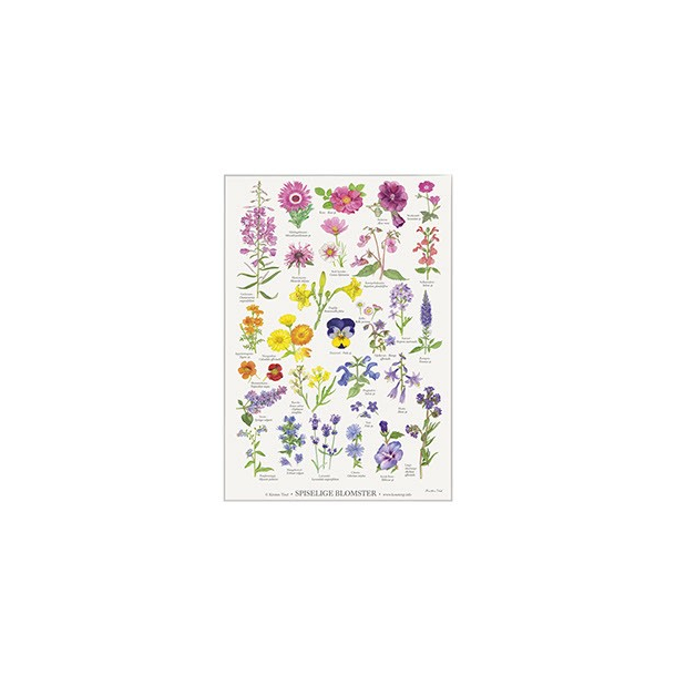 Plakat "SPISELIGE BLOMSTER"