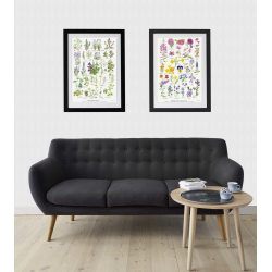 Plakat "SPISELIGE BLOMSTER"