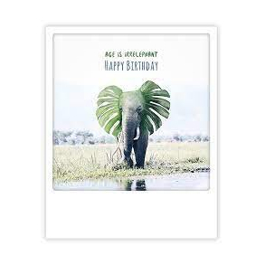 Polaroid kort, AGE IS IRRELEPHANT, HAPPY BIRTHDAY