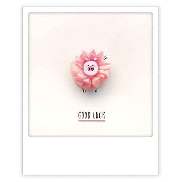 Polaroid kort, GOOD LUCK