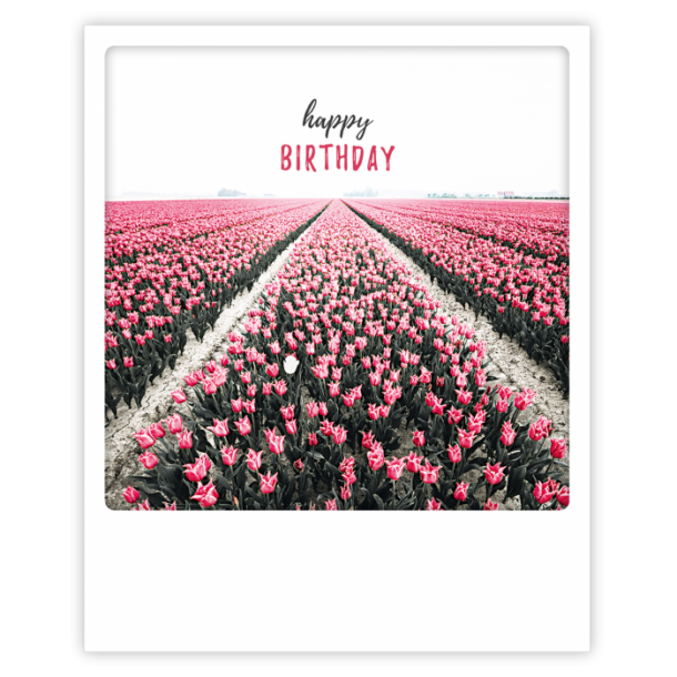 Polaroid kort, HAPPY BIRTHDAY, HAPPY FIELDS