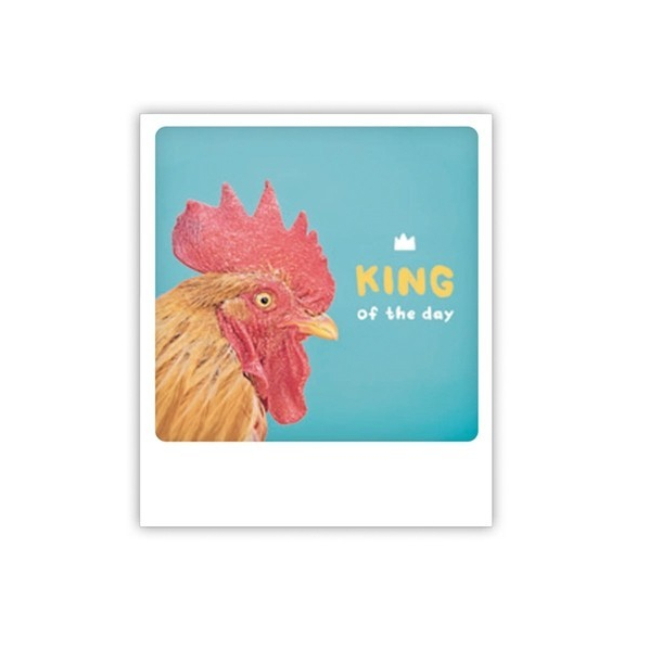 Polaroid kort, KING OF THE DAY