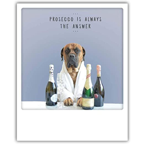 Polaroid kort, PROSECCO IS ALWAYS THE ANSWER