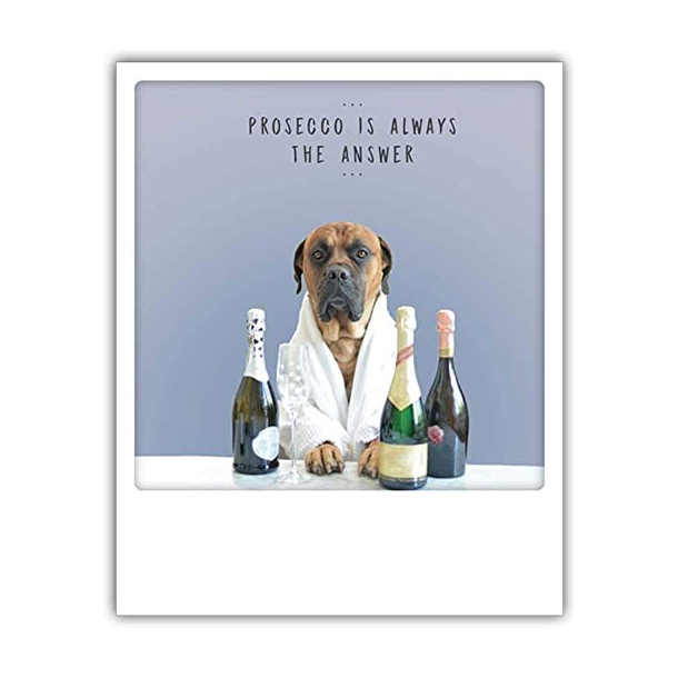 Polaroid kort, PROSECCO IS ALWAYS THE ANSWER