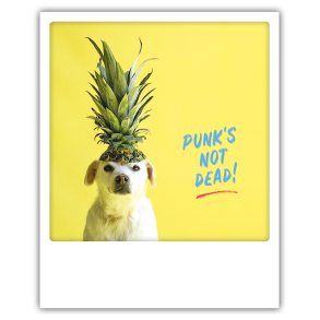 Polaroid kort, PUNKS NOT DEAD