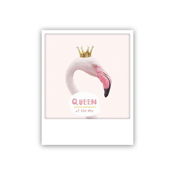 Polaroid kort, QUEEN OF THE DAY