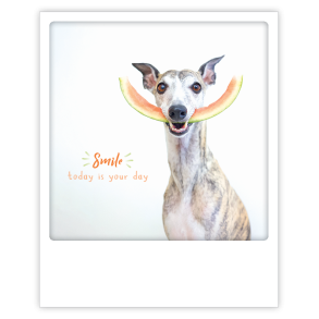 Polaroid kort, SMILE TODAY IS YOUR DAY