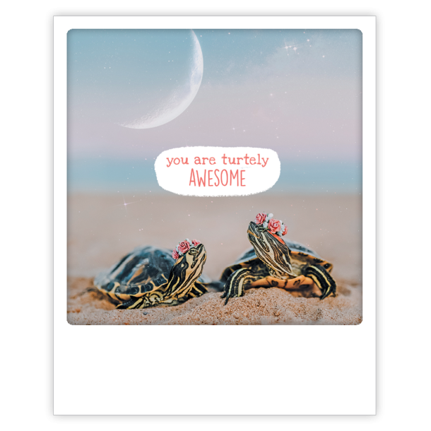 Polaroid kort, YOU ARE TURTELY AWESOME