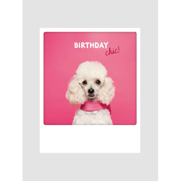Polaroid kort, BIRTHDAY CHIC
