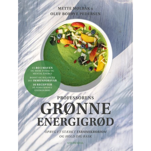 Professorens grnne energigrd