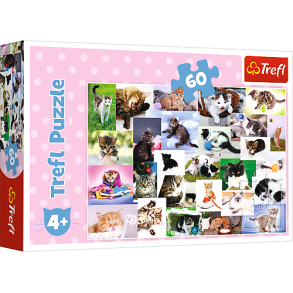 Puslespil Cat's world, 60 brikker