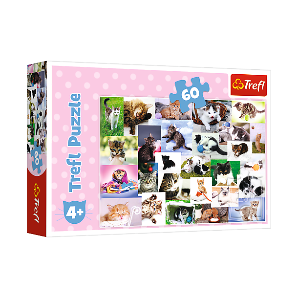 Puslespil Cat's world, 60 brikker