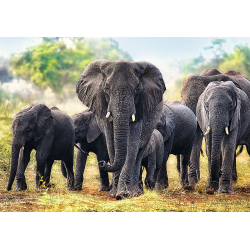 Puslespil Elefanter, 1000 brikker