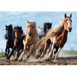 Puslespil Heste, 1000 brikker