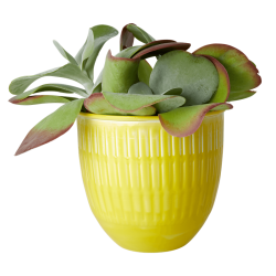 Rice Stor Rund Emalje Urtepotte - Gul - Choose Happy 