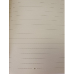 R&ouml;ssler notesbog, A5, WOW