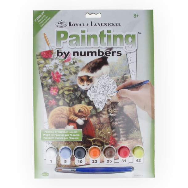 Royal &amp; Langnickel Painting by numbers, Katte