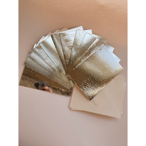 St slv kort med kuvert, 12 stk. 