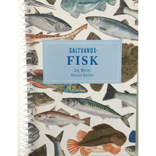 Saltvandsfisk